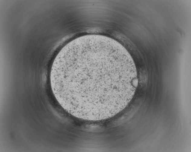 X0000112780208200910011304