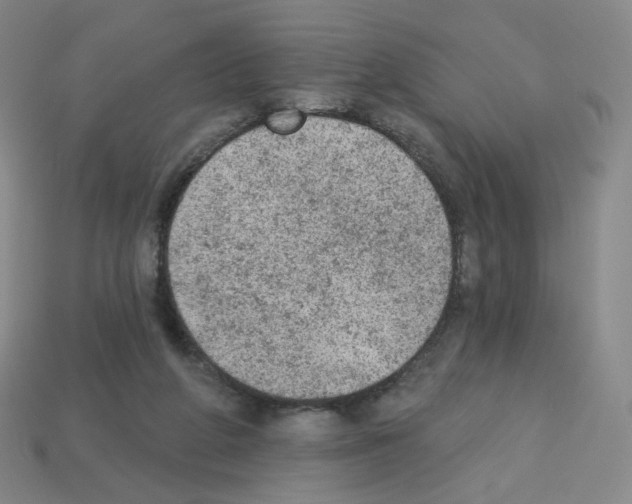 X0000112780210200910011304