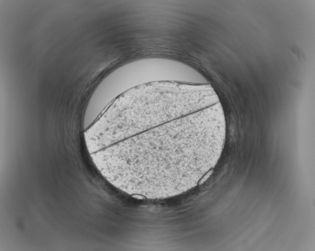 X0000112780211200910011304