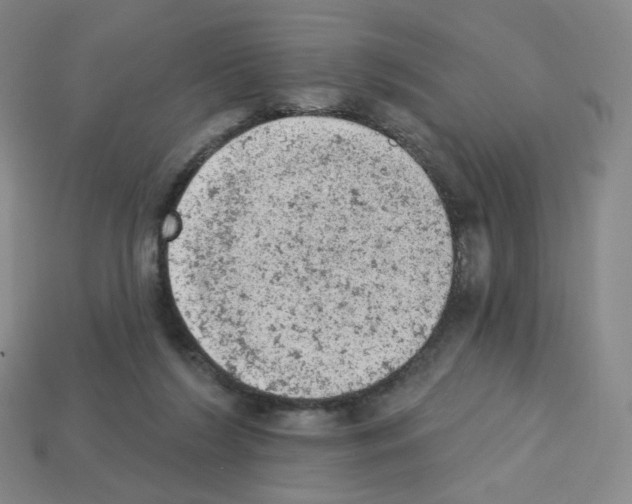 X0000112780212200910011304