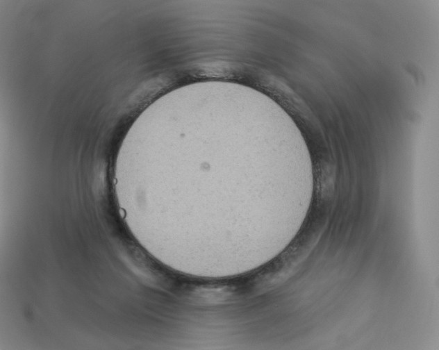 X0000112780213200910011304