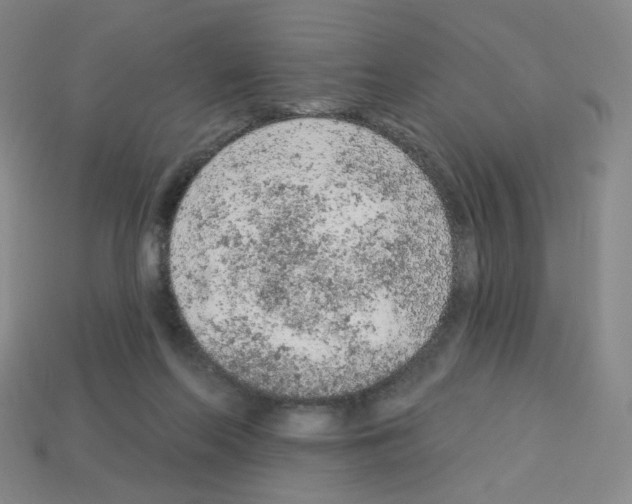 X0000112780214200910011304