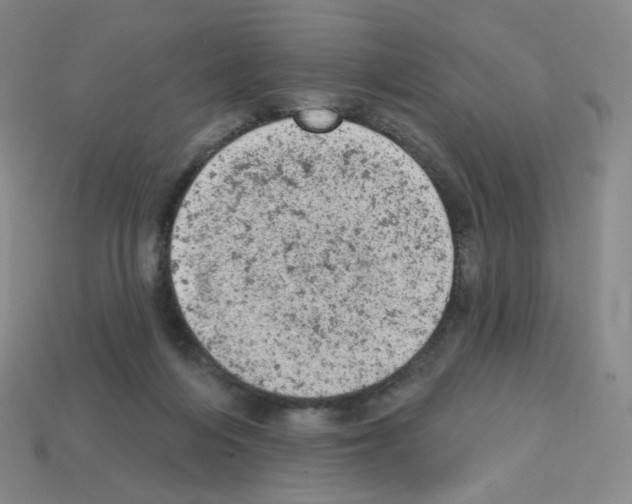 X0000112780216200910011304