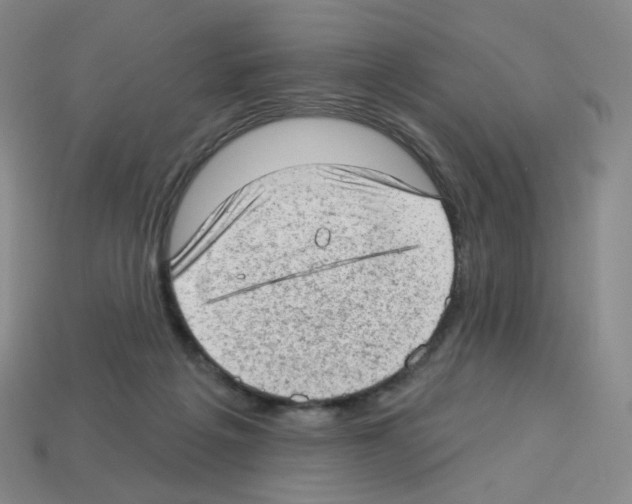 X0000112780217200910011304