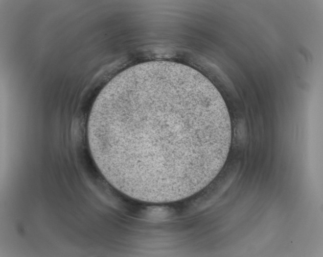 X0000112780218200910011304