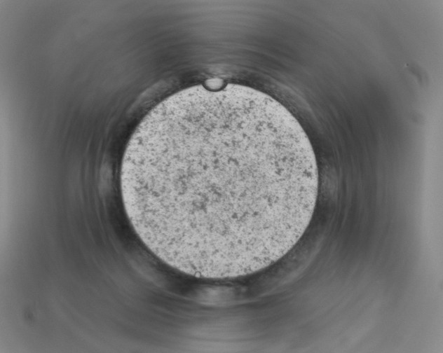 X0000112780220200910011304