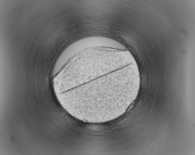 X0000112780221200910011304