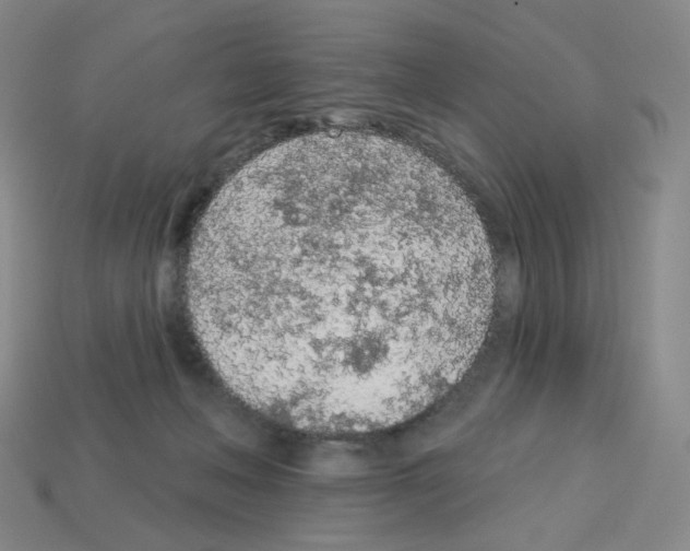 X0000112780222200910011304