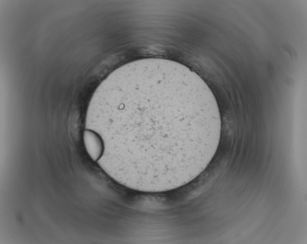 X0000112780223200910011304