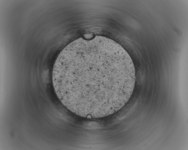 X0000112780224200910011304