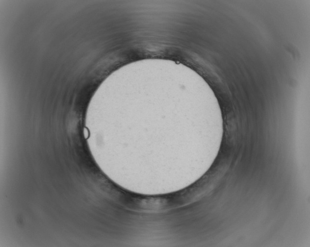 X0000112780225200910011304