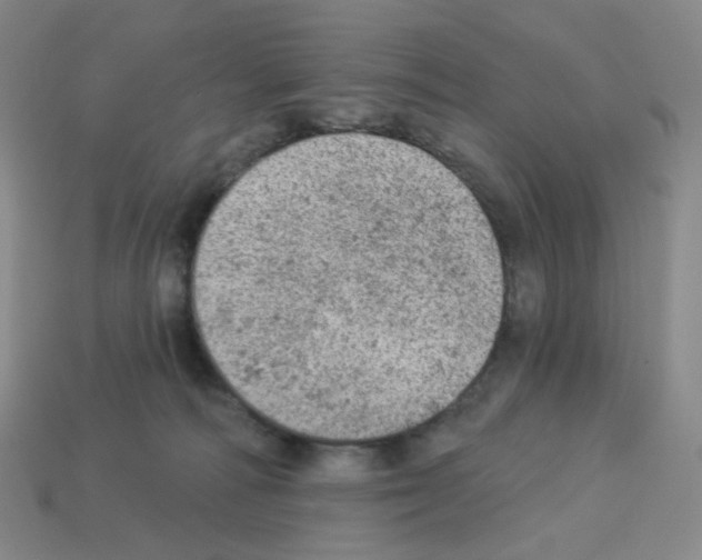 X0000112780226200910011304