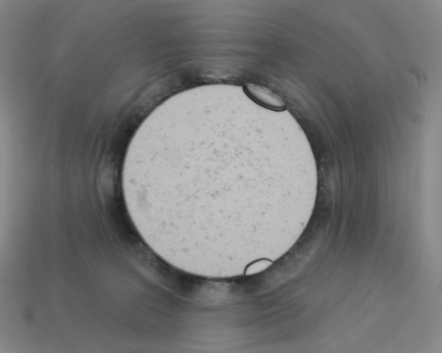 X0000112780227200910011304