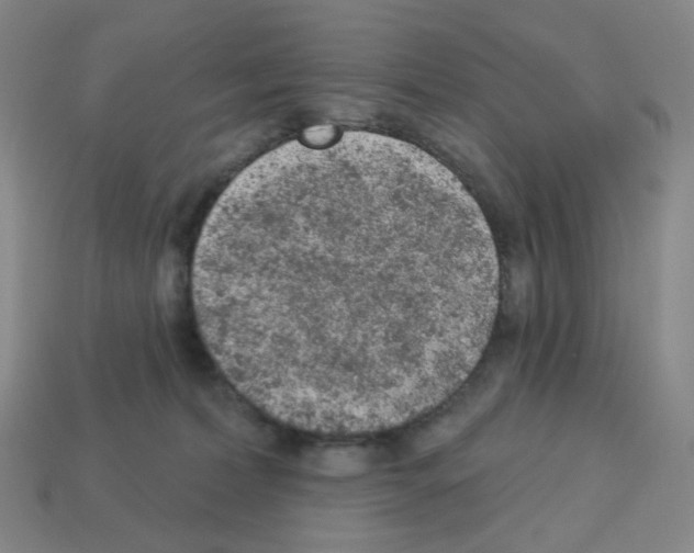 X0000112780228200910011304