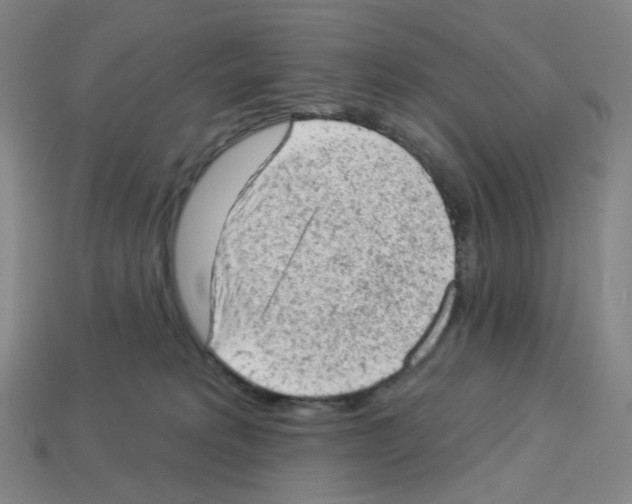 X0000112780229200910011304