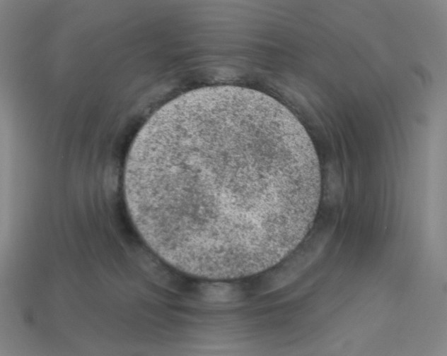 X0000112780230200910011304