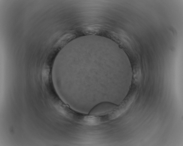 X0000112780231200910011304