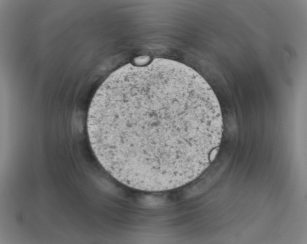 X0000112780232200910011304