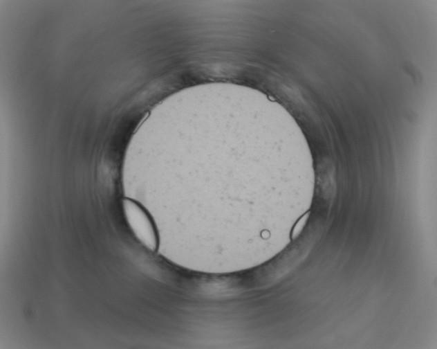 X0000112780235200910011304