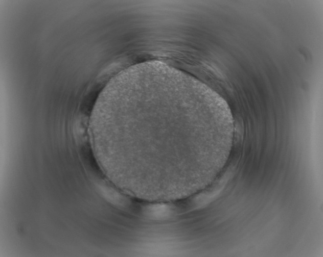 X0000112780237200910011304