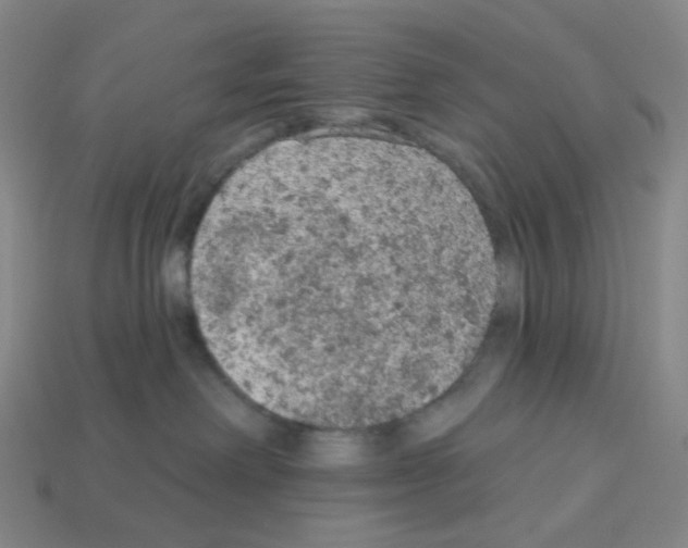 X0000112780238200910011304