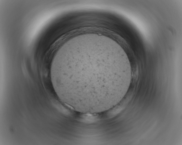 X0000112780239200910011304