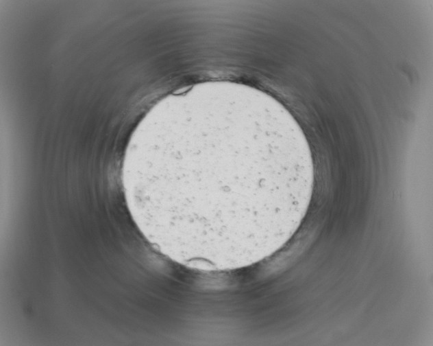 X0000112780240200910011304