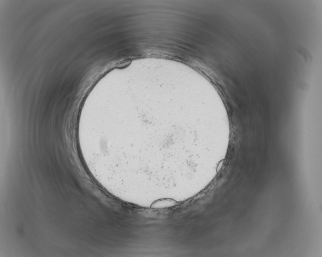 X0000112780241200910011303