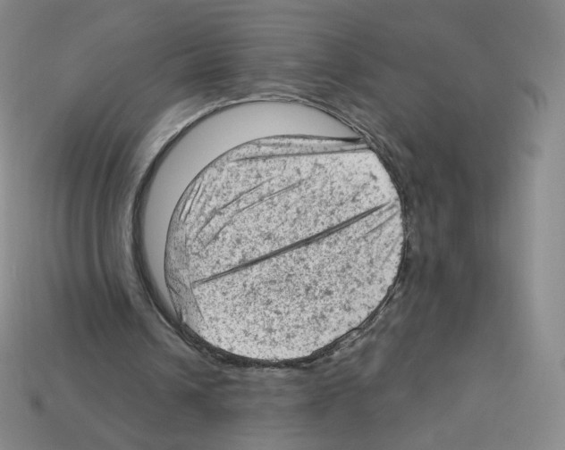 X0000112780242200910011303