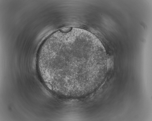 X0000112780243200910011303