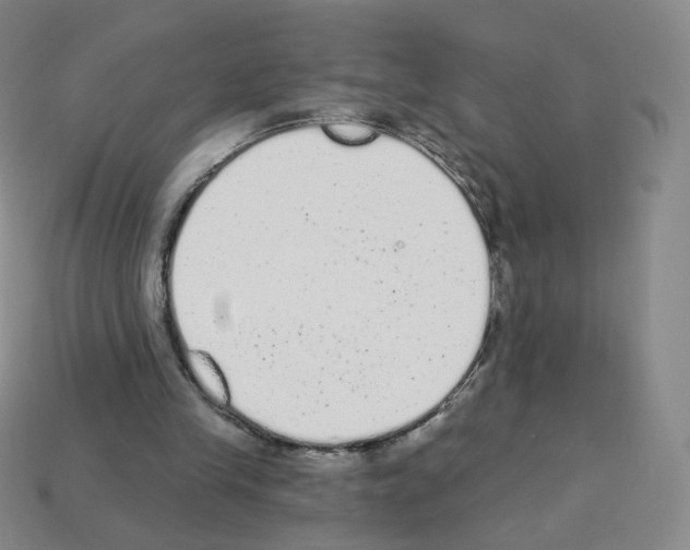 X0000112780245200910011303