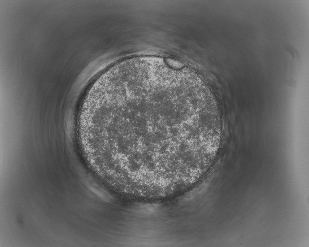 X0000112780247200910011303