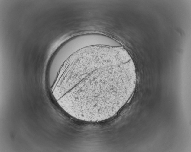 X0000112780248200910011303