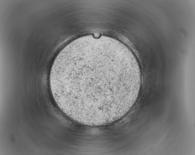 X0000112780249200910011303