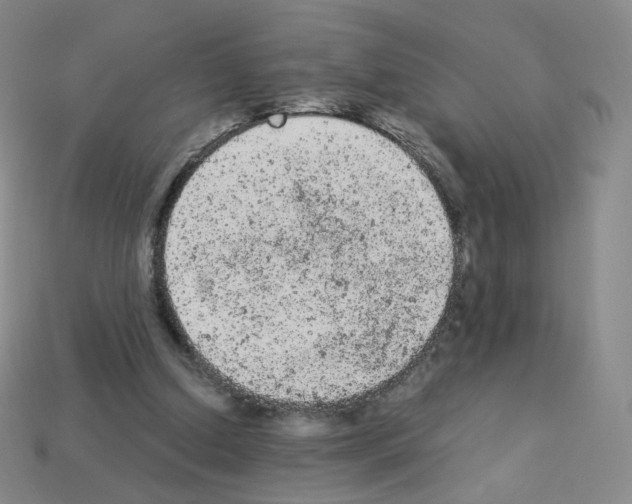 X0000112780250200910011303