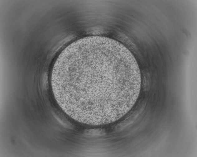 X0000112780251200910011303