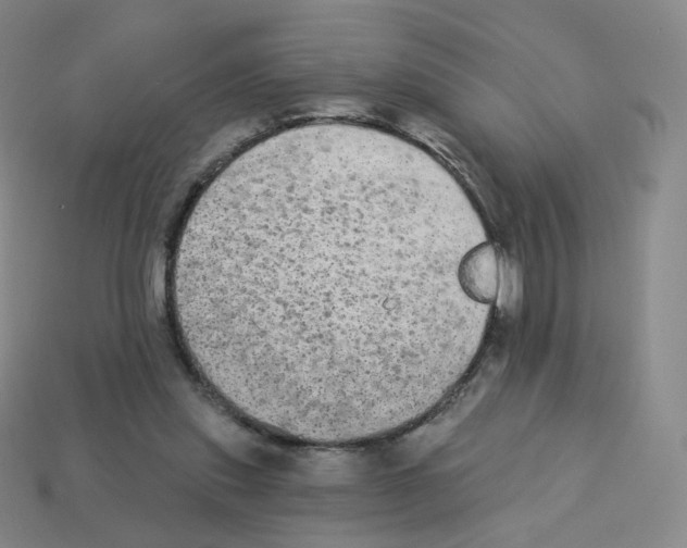 X0000112780253200910011303