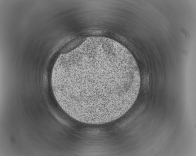 X0000112780254200910011303