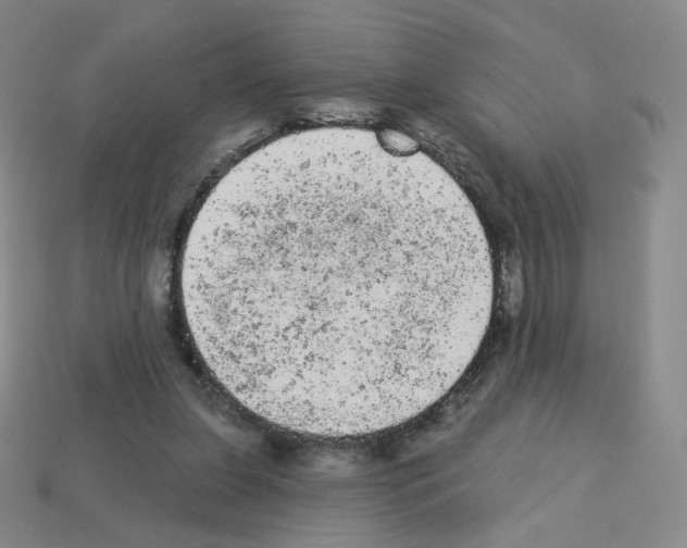 X0000112780255200910011303