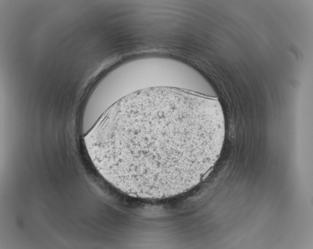 X0000112780256200910011303