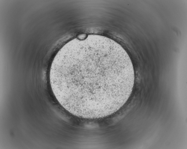 X0000112780258200910011303