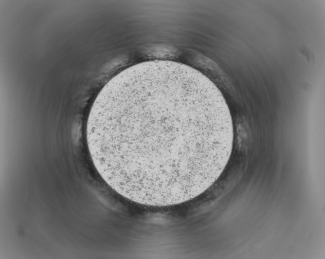 X0000112780259200910011303