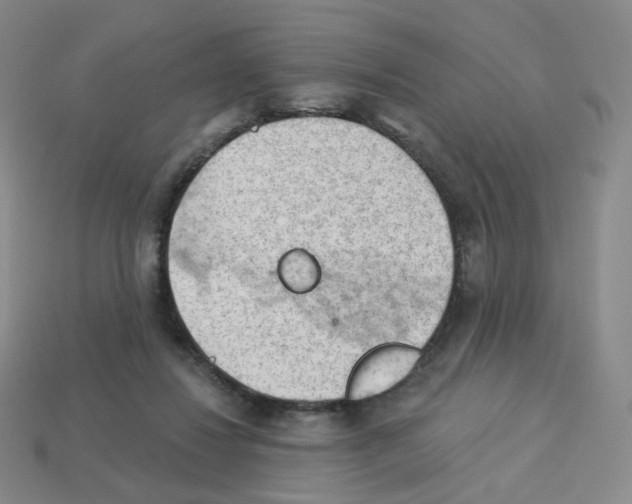 X0000112780260200910011303