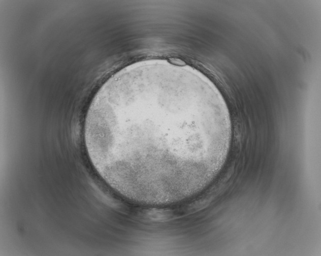 X0000112780261200910011303