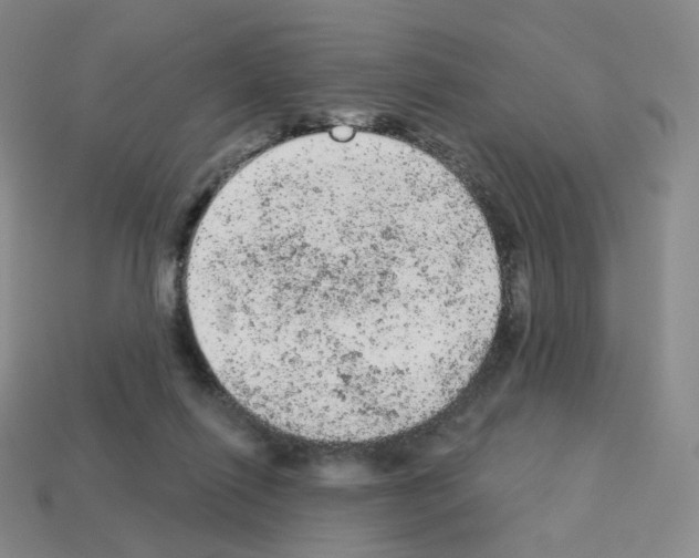 X0000112780262200910011303