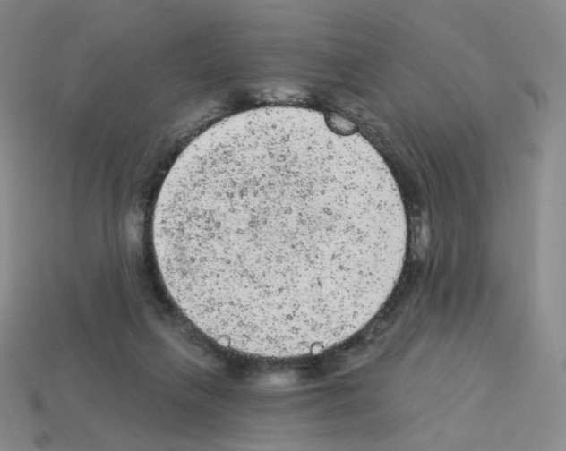 X0000112780263200910011303