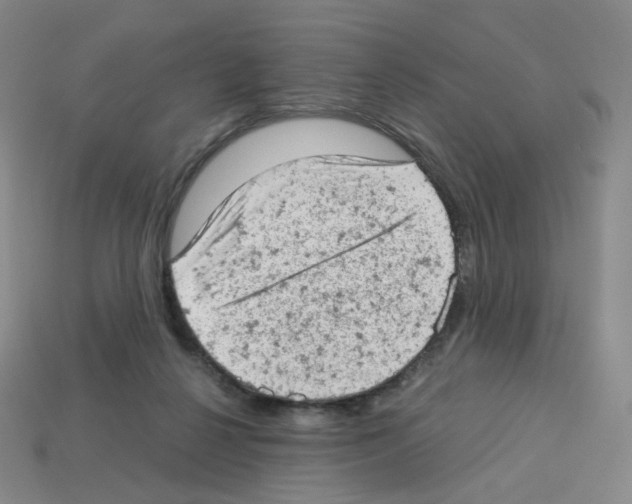 X0000112780264200910011303