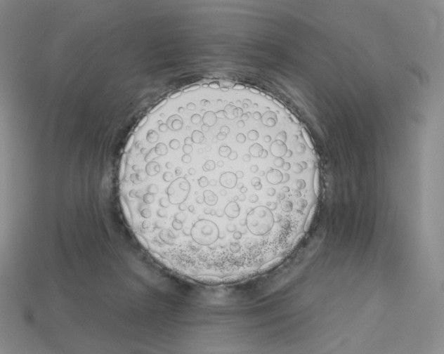 X0000112780265200910011303