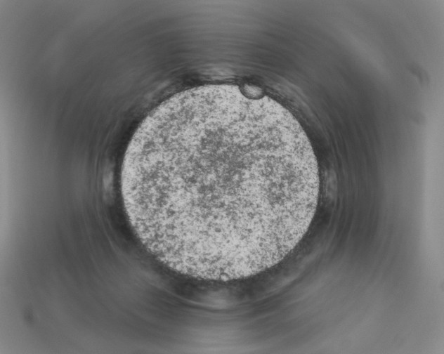 X0000112780267200910011304