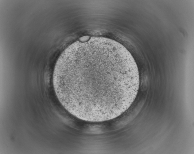 X0000112780268200910011304